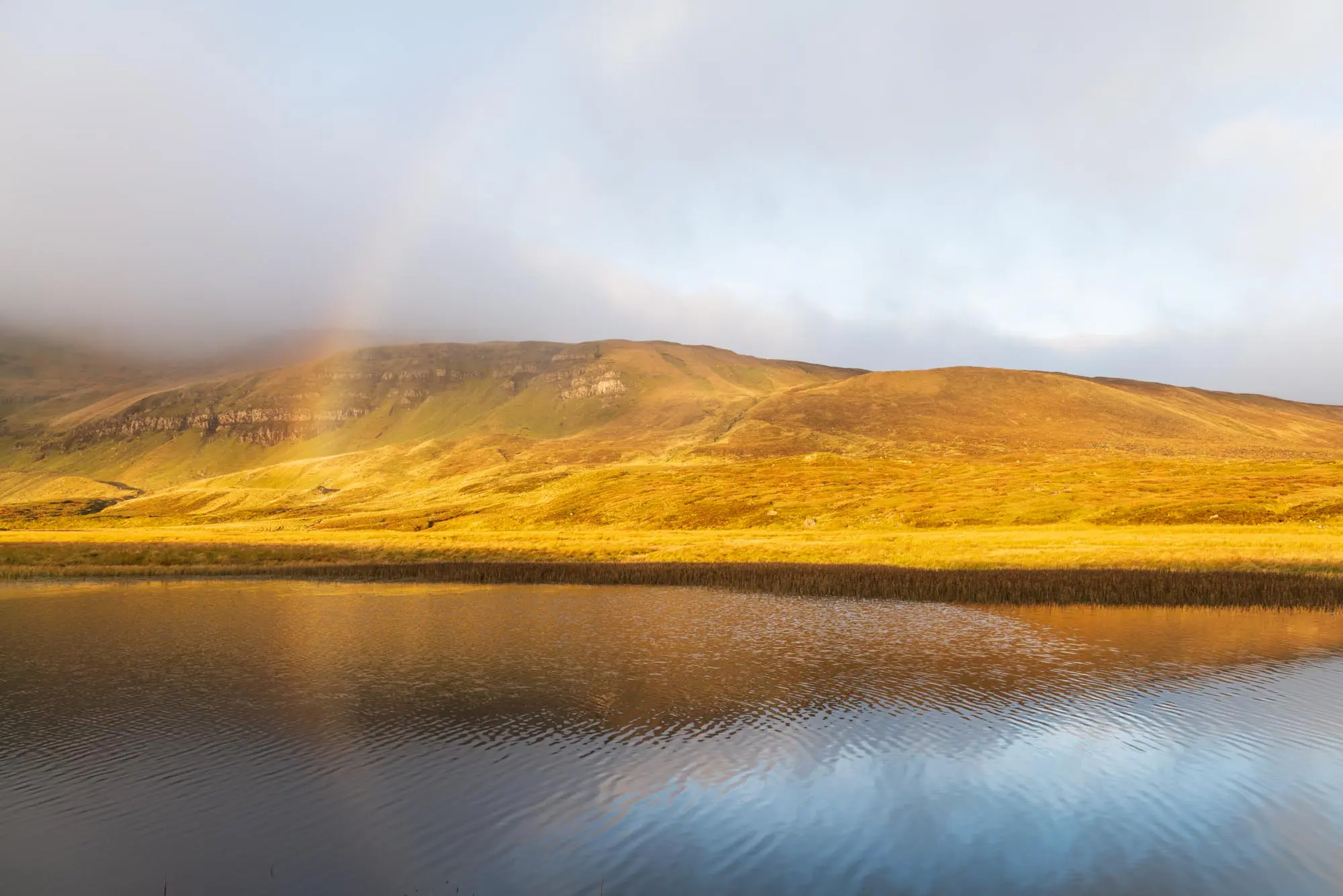 Why Choose SOS... Story First background