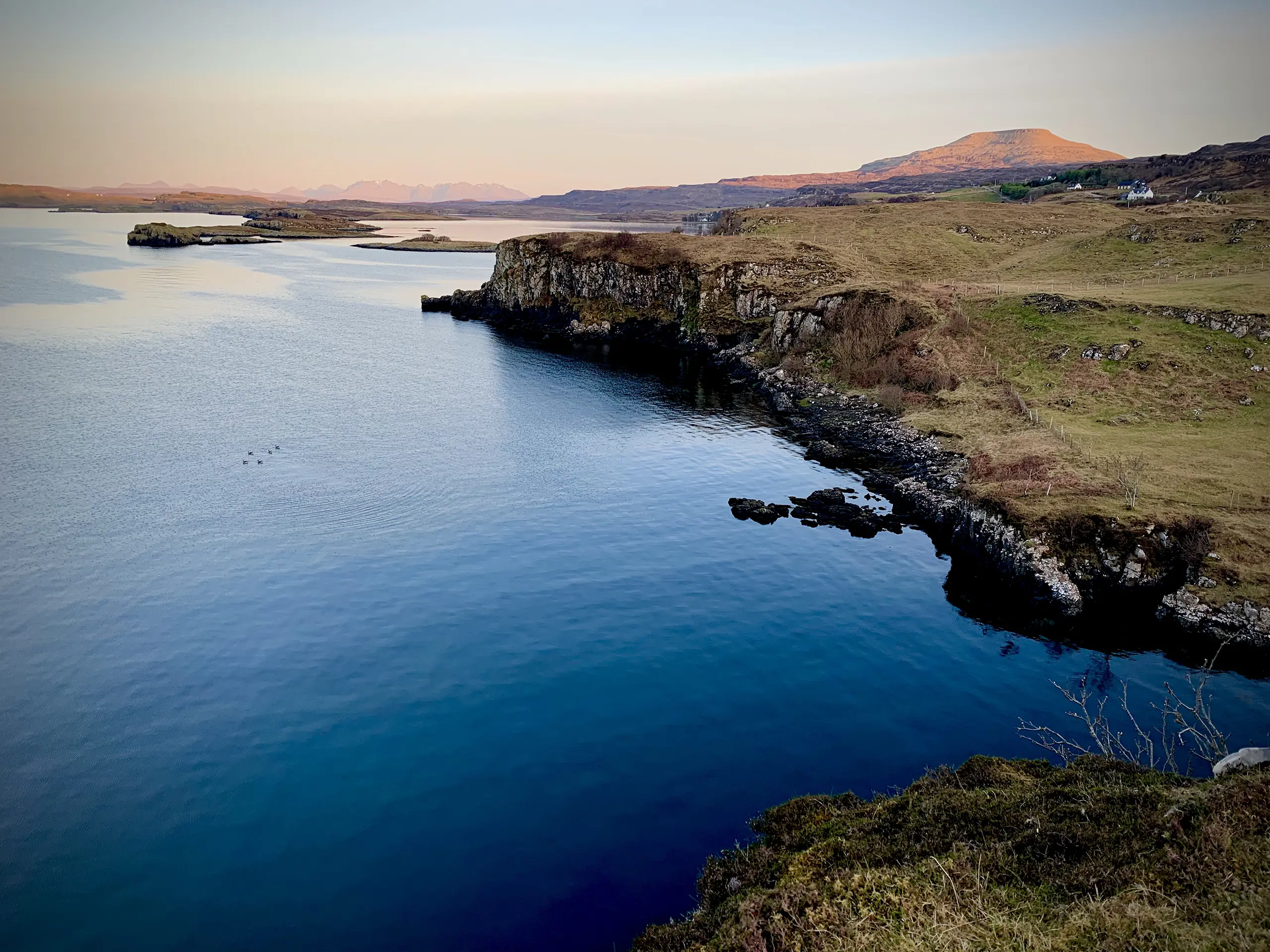 Introduction background