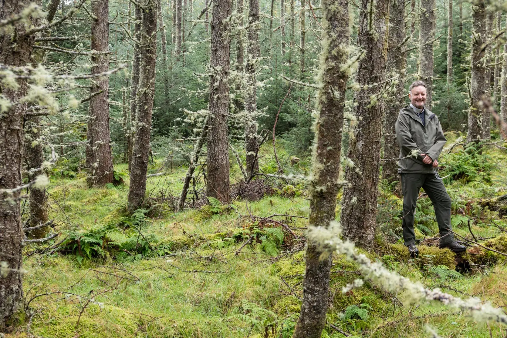 Introduction background